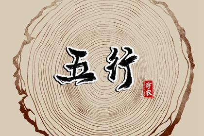 数字化五行参考用法